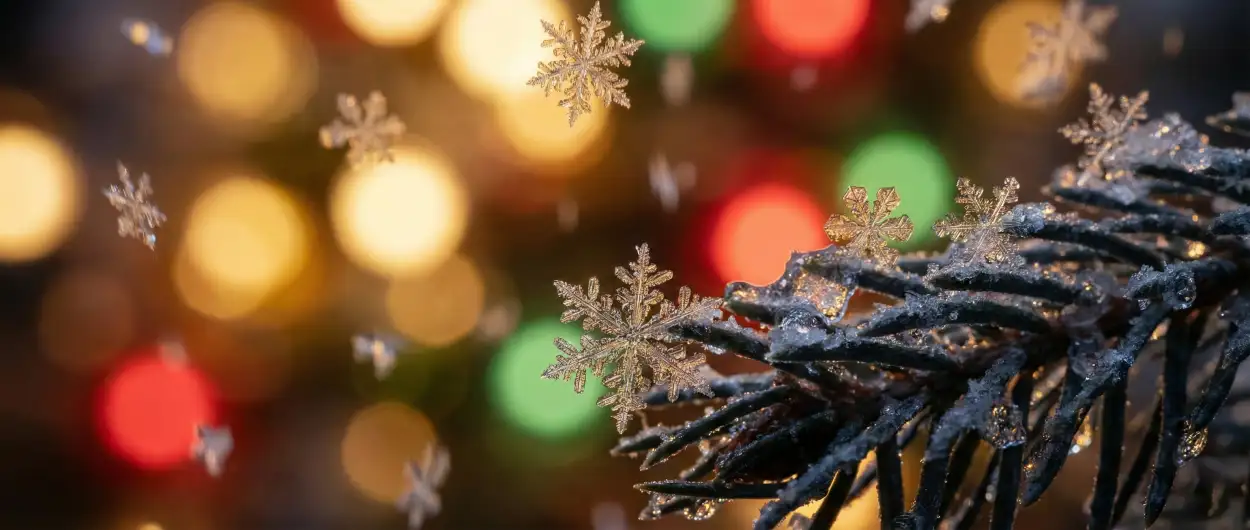 Christmas Background Hd Free Download - Royalty Free Christmas Background Hd Image | Pngmagic Free Download Christmas Background Hd Free Download - High Quality Christmas Background Hd Background