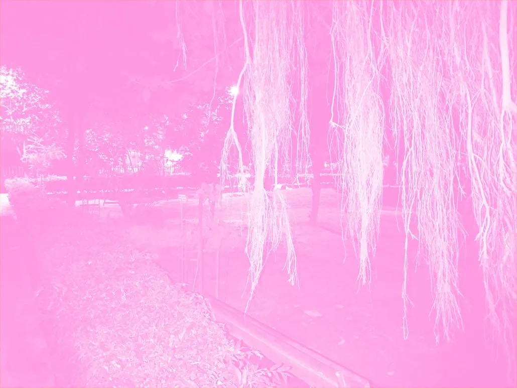 Cute Pink Aesthetic Wallpaper - Royalty Free Pink Image | Pngmagic Free Download Cute Pink Aesthetic Wallpaper - High Quality Pink Background