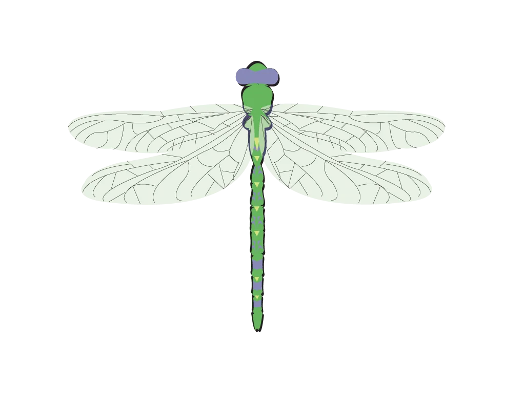 Dragonfly Leaf PNG Vector PSD Clipart With Transparent Background Photo For Free Download - Royalty Free Dragonfly Leaf PNG Vector Image | Pngmagic Free Download Dragonfly Leaf PNG Vector PSD Clipart With Transparent Background Photo For Free Download - High Quality Dragonfly Leaf PNG Vector PNG Image