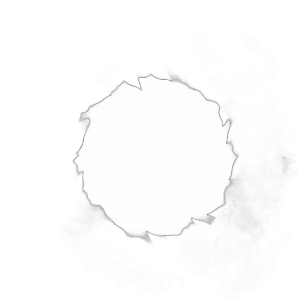 Free Download Floral Border Png Frame For Photo Editing - High Quality Frame Png PNG Image