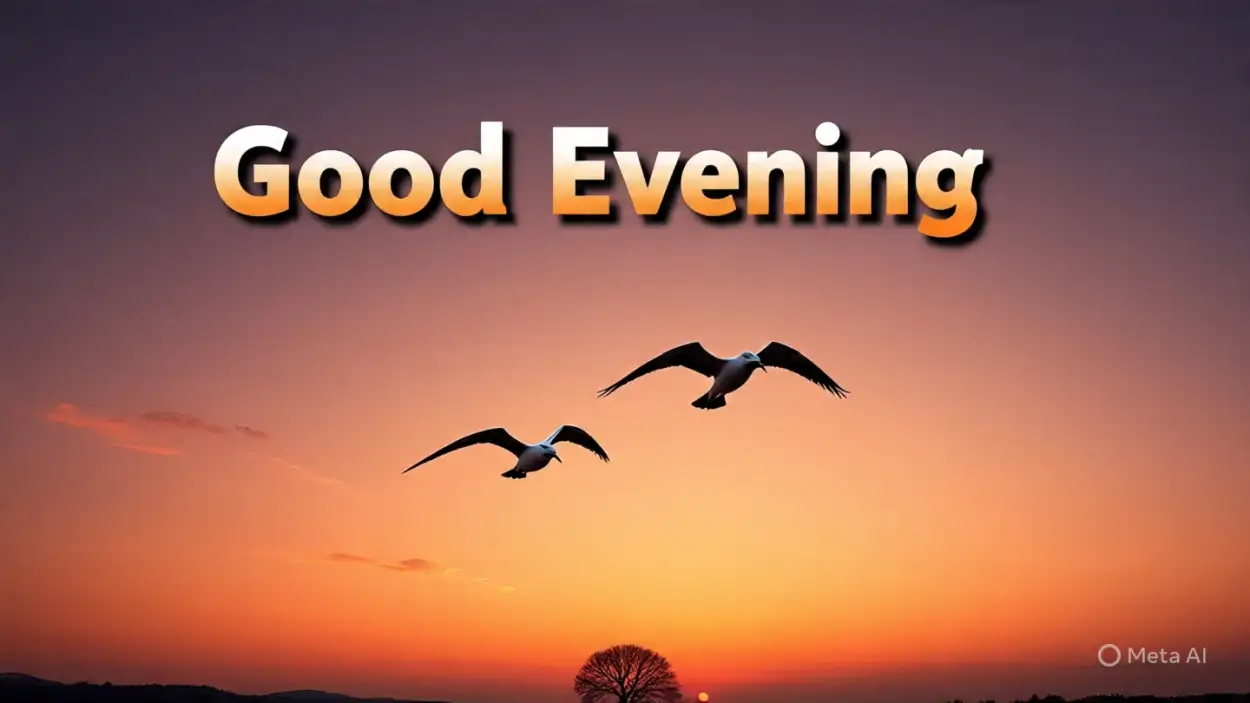Free Download Good Evening Rose Hd Wallpaper - High Quality Good Evening Background