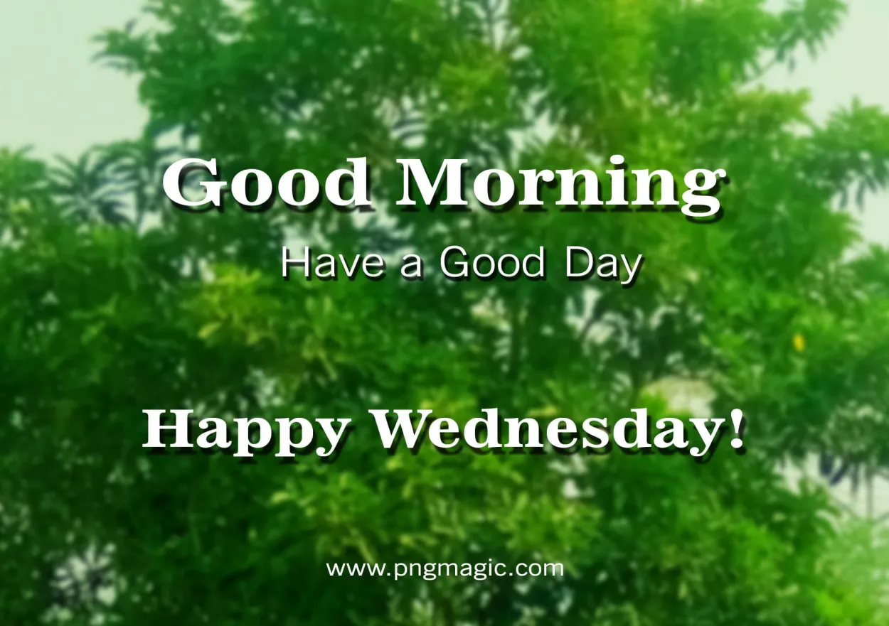 Free Download Good Morning Wednesday - High Quality Good Morning Wednesday Background