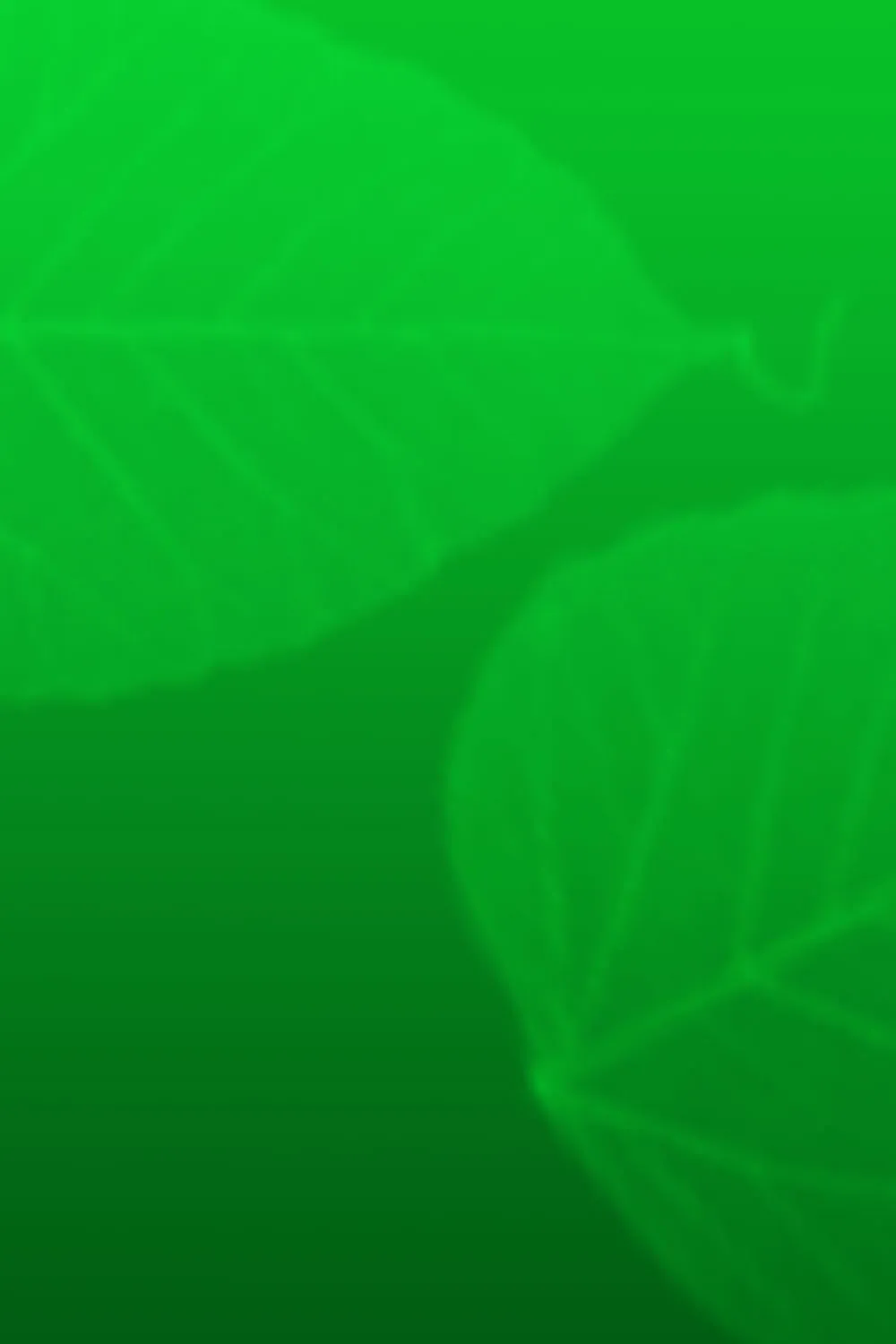 Green Background With Green Leaf - Royalty Free Green Image | Pngmagic Free Download Green Background With Green Leaf - High Quality Green Background
