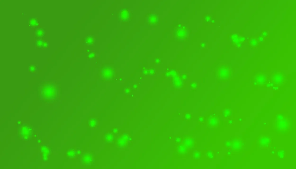 Green Blinking Lights Background - Royalty Free Green Light Image | Pngmagic Free Download Green Blinking Lights Background - High Quality Green Light Background