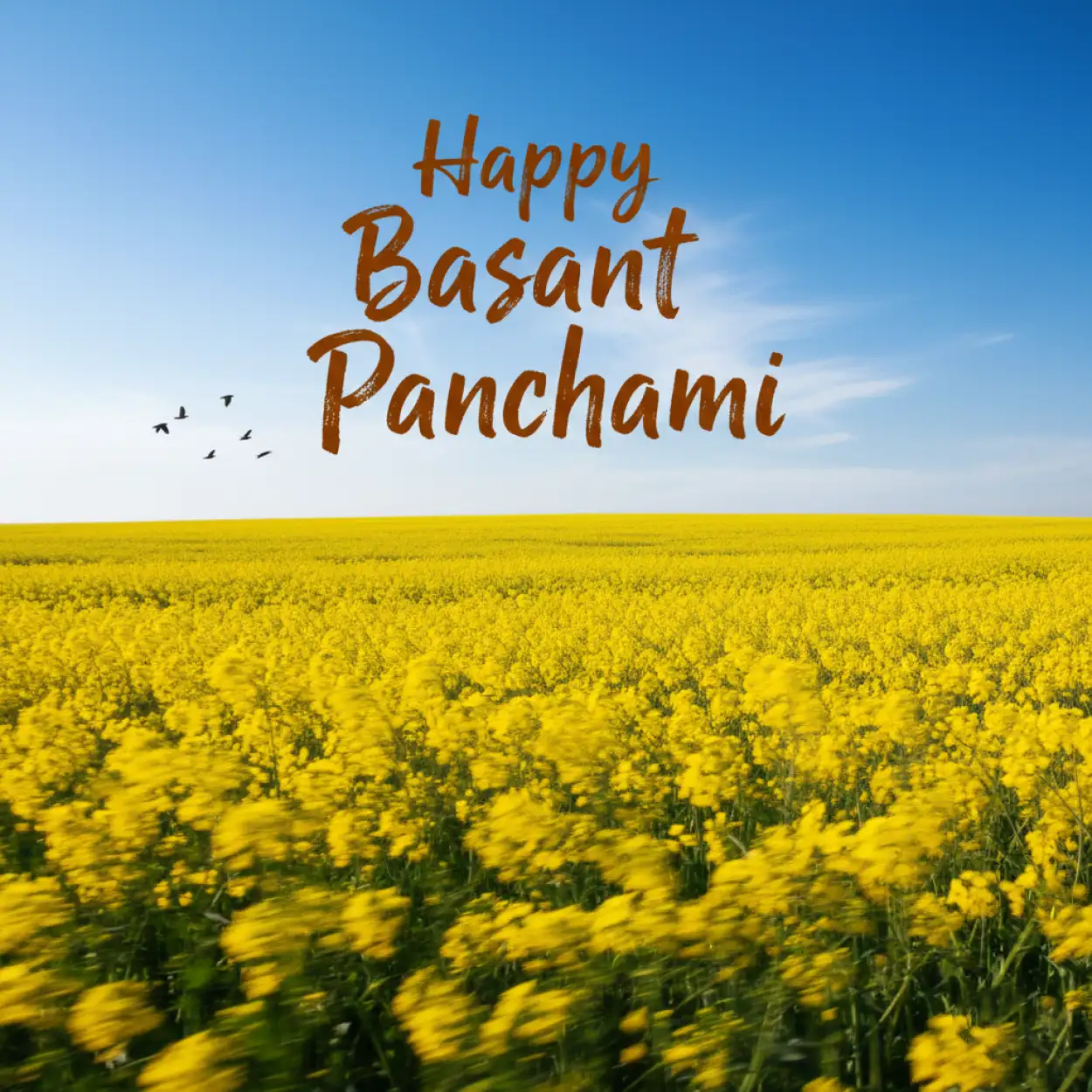 Free Download Happy Basant Panchami Wishes Long Messages - High Quality Happy Basant Panchami Wishes Image