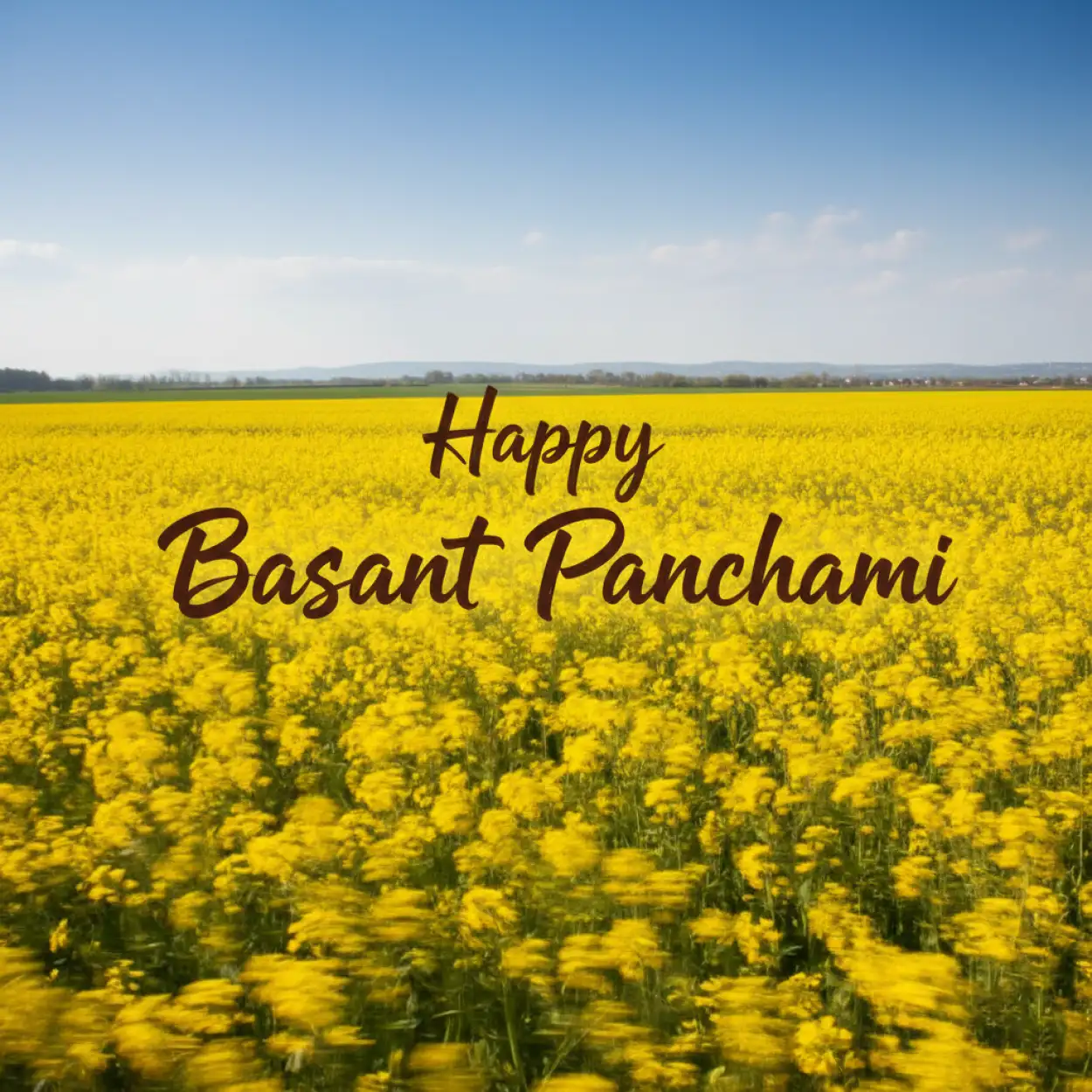 Happy Basant Panchami Wishes Quotes - Royalty Free Happy Basant Panchami Wishes Image | Pngmagic Free Download Happy Basant Panchami Wishes Quotes - High Quality Happy Basant Panchami Wishes Background