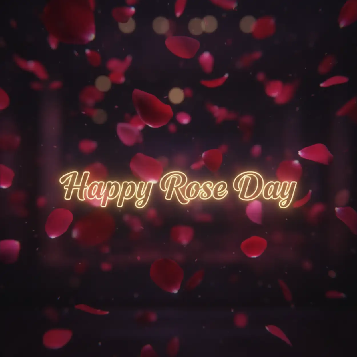 Free Download Happy Rose Day Background Image - High Quality Happy Rose Day Wishes Background