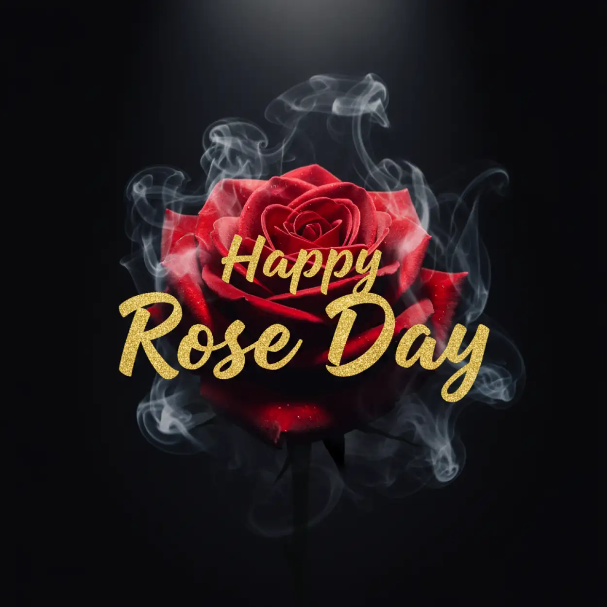 Free Download Happy Rose Day Profile Picture - High Quality Happy Rose Day Wishes Background