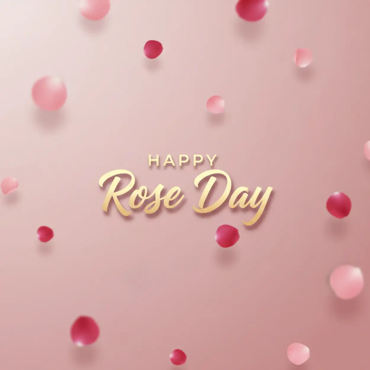 Free Download Happy Rose Day Rose Theme Background - High Quality Happy Rose Day Wishes Background