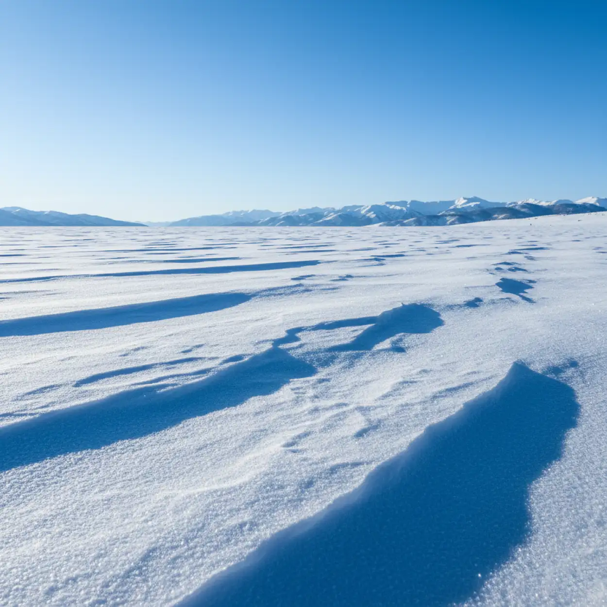 Free Download Holiday Snow Background Images - High Quality Snow Background Images Hd Background Image