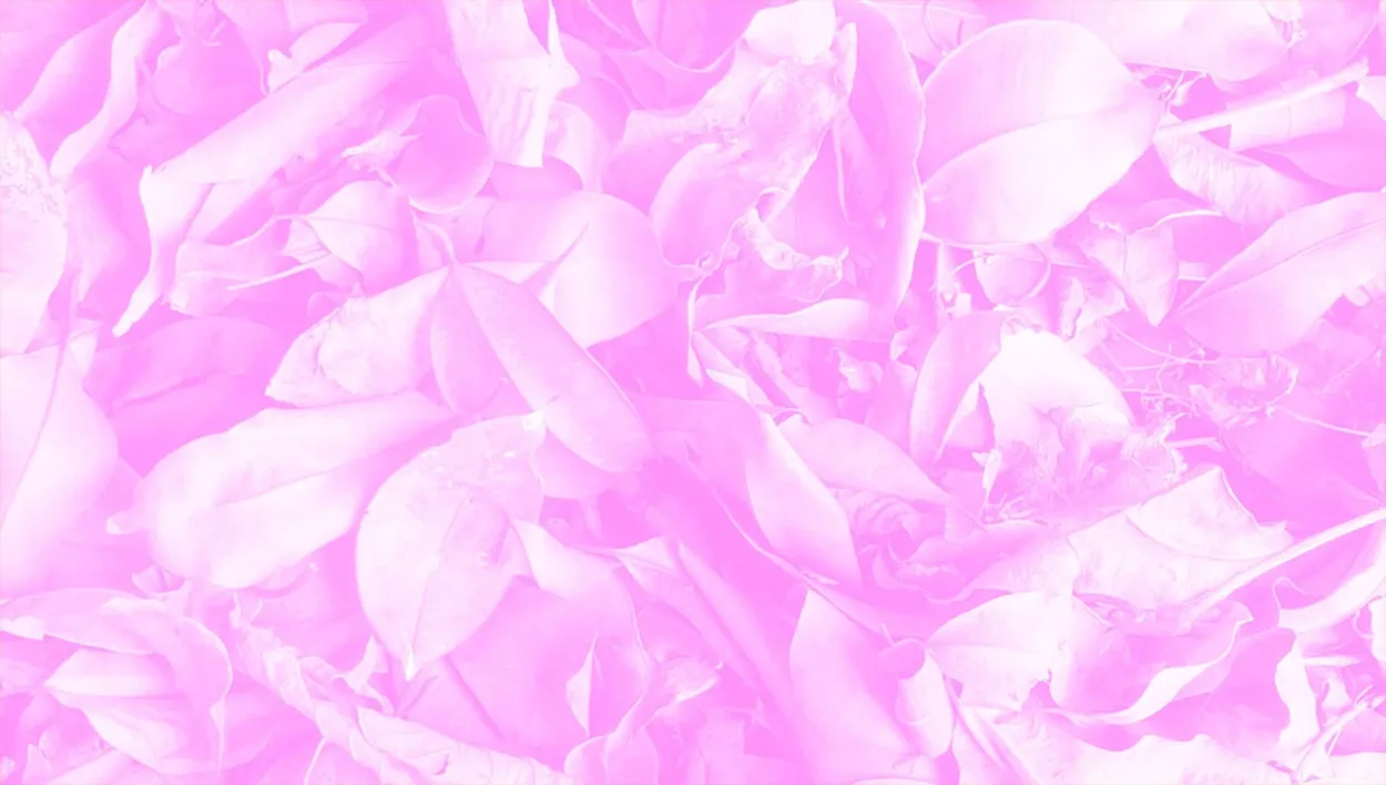 Hot Pink Wallpaper - Royalty Free Pink Image | Pngmagic Free Download Hot Pink Wallpaper - High Quality Pink Background