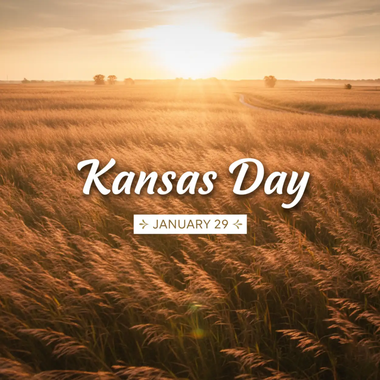 Free Download Kansas Day Facts For Students - High Quality Kansas Day Background