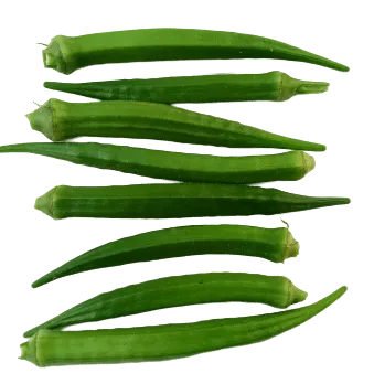 Ladies Finger Vegetable Png Picture Free Download - Royalty Free Ladies Finger Vegetable Image | Pngmagic Free Download Ladies Finger Vegetable Png Picture Free Download - High Quality Ladies Finger Vegetable PNG Image
