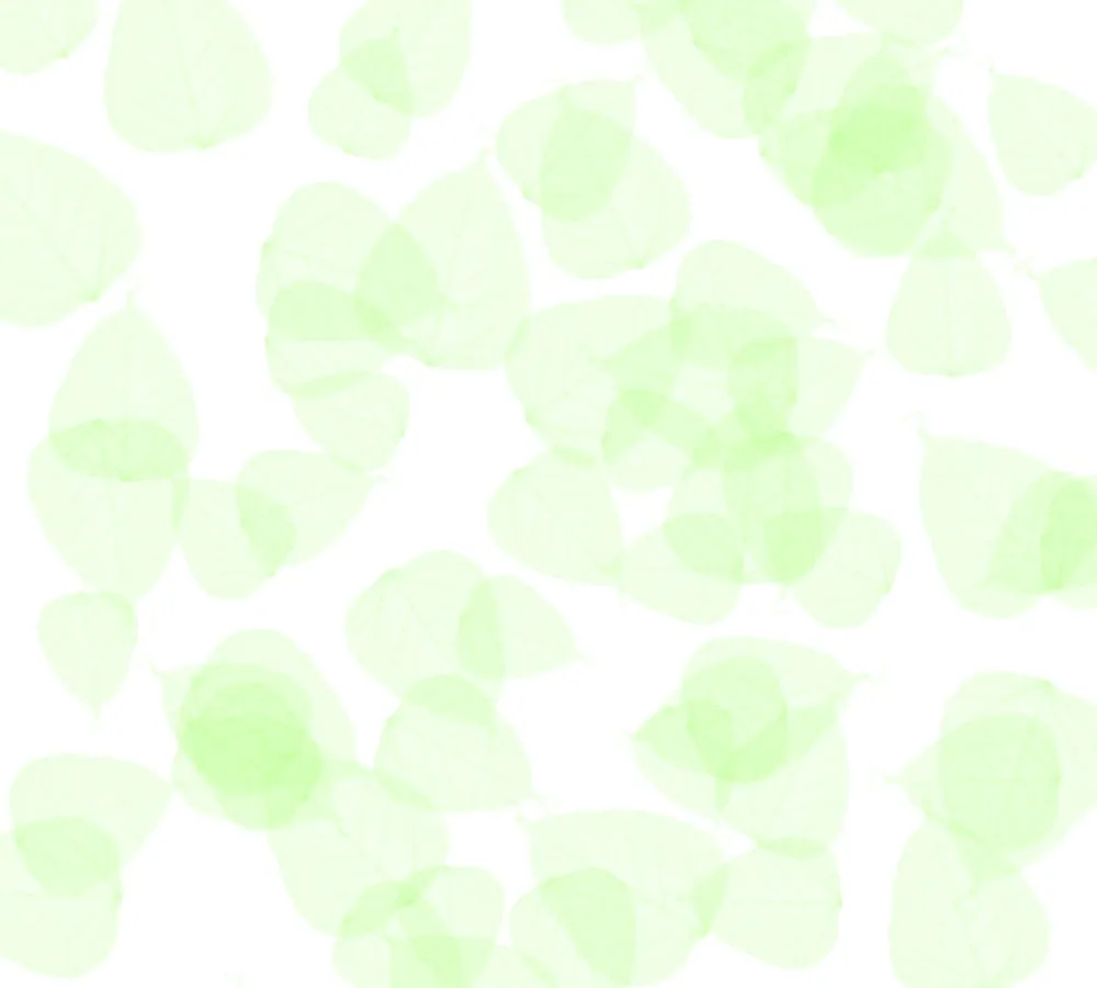 Leaf With White Background - Royalty Free White Image | Pngmagic Free Download Leaf With White Background - High Quality White Background