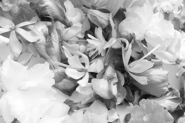 Multi Type Flowers Background - Royalty Free Multi Type Flowers Background Image | Pngmagic Free Download Multi Type Flowers Background - High Quality Multi Type Flowers Background Background