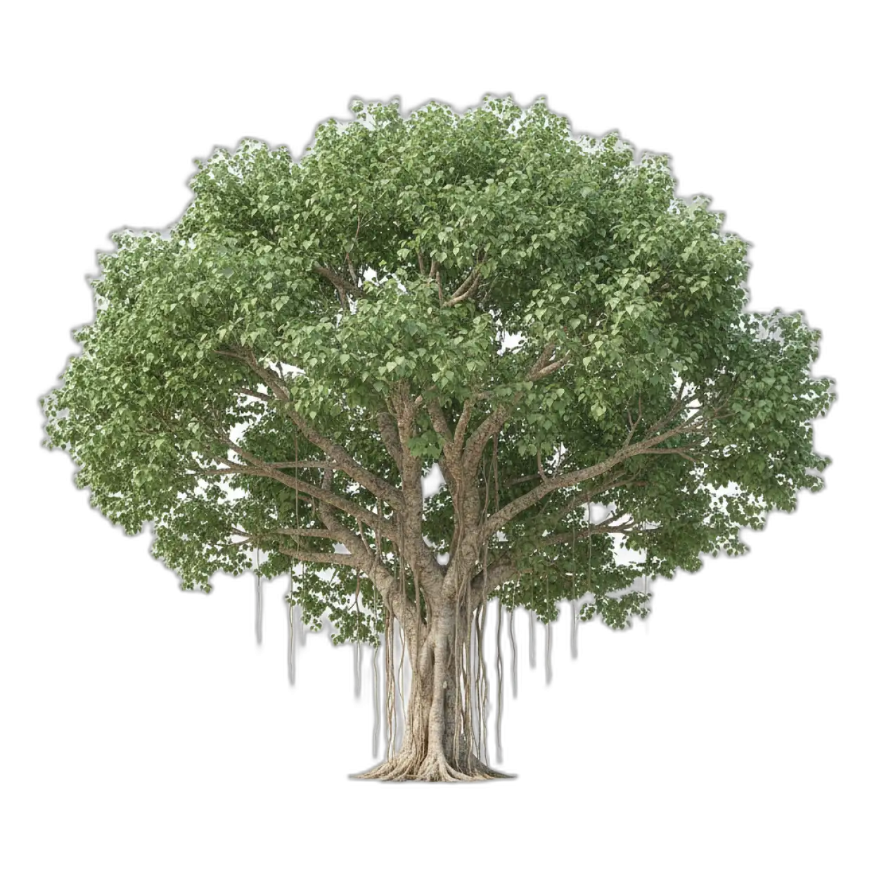 Free Download Natural Tree Png Transparent - High Quality Tree Png Transparent PNG