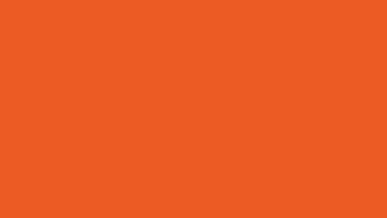 Persimmon Solid Color Background - Royalty Free Orange Image | Pngmagic Free Download Persimmon Solid Color Background - High Quality Orange Background