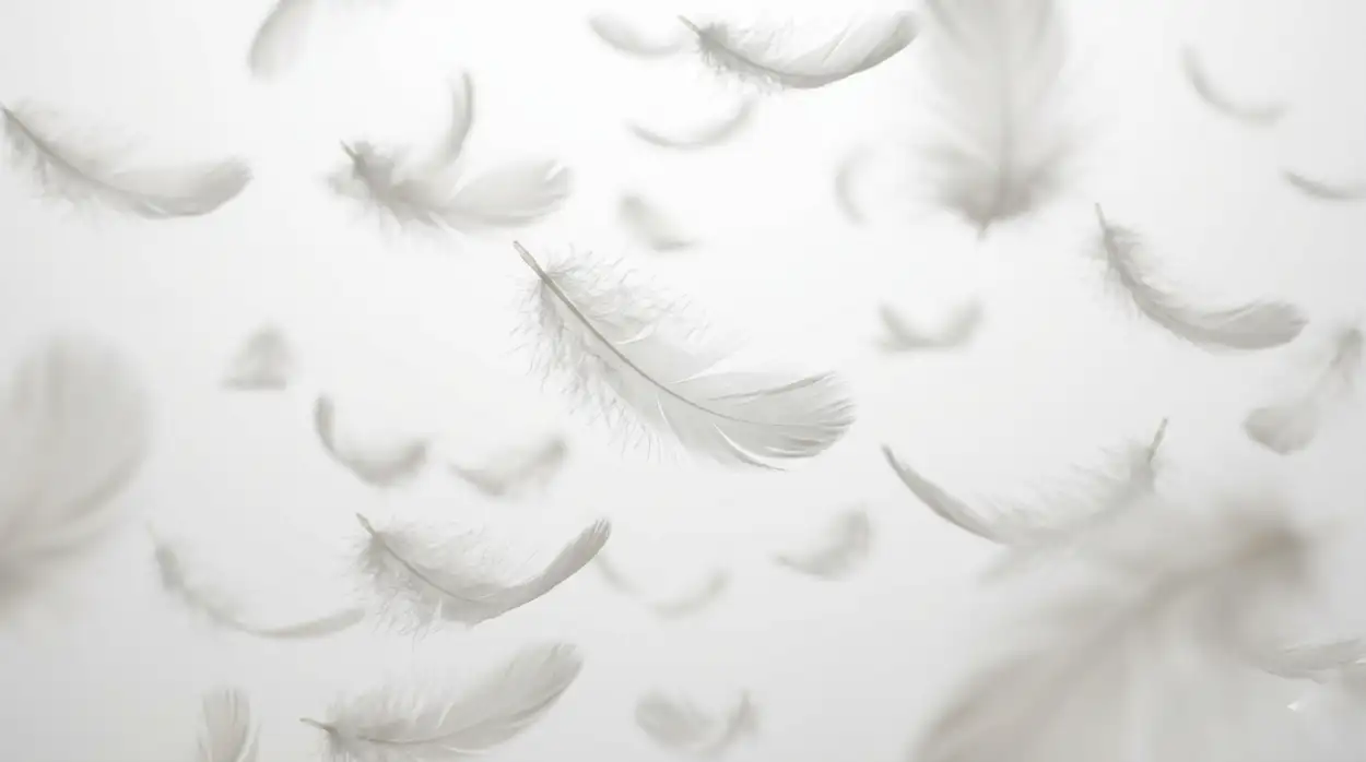 Free Download Plain White Background Texture Hd - High Quality Plain White Background Hd Background Image