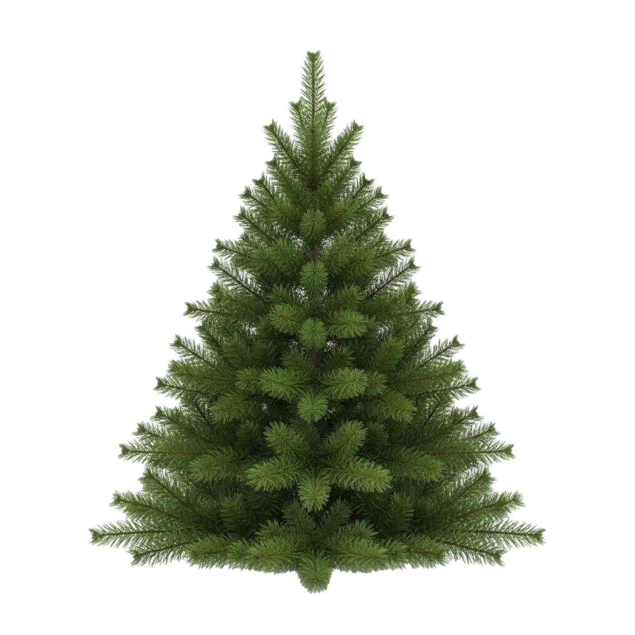 Free Download Premium Realistic Christmas Tree PNG - High Quality Christmas Tree PNG Transparent PNG