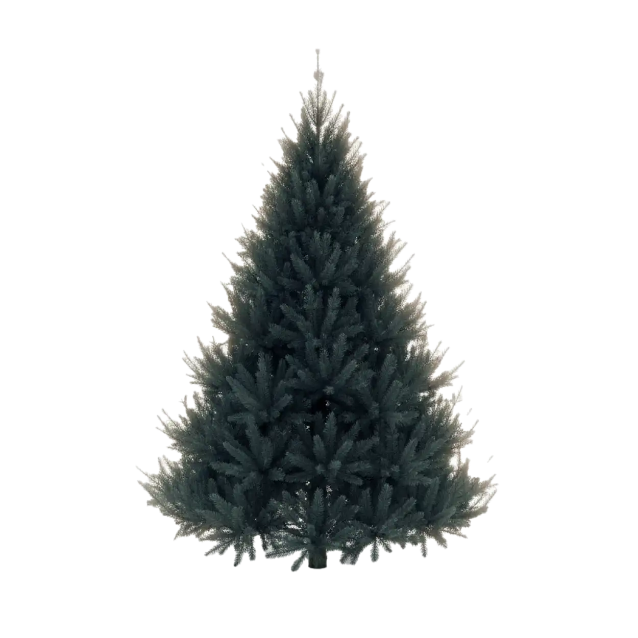 Free Download Realistic Christmas Tree PNG Without Ornaments - High Quality Christmas Tree PNG PNG Image