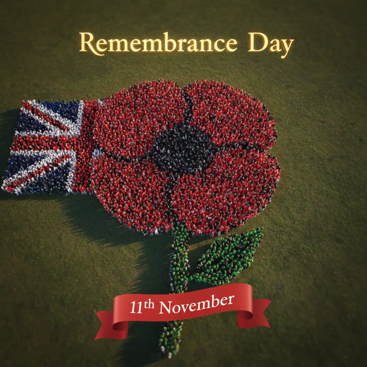 Free Download Remembrance Day Cinematic Background For Editing - High Quality Remembrance Day Background