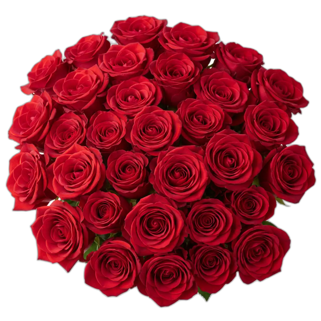 Free Download Rose Bouquet Png Flower Png - High Quality Rose Bouquet Png PNG Image