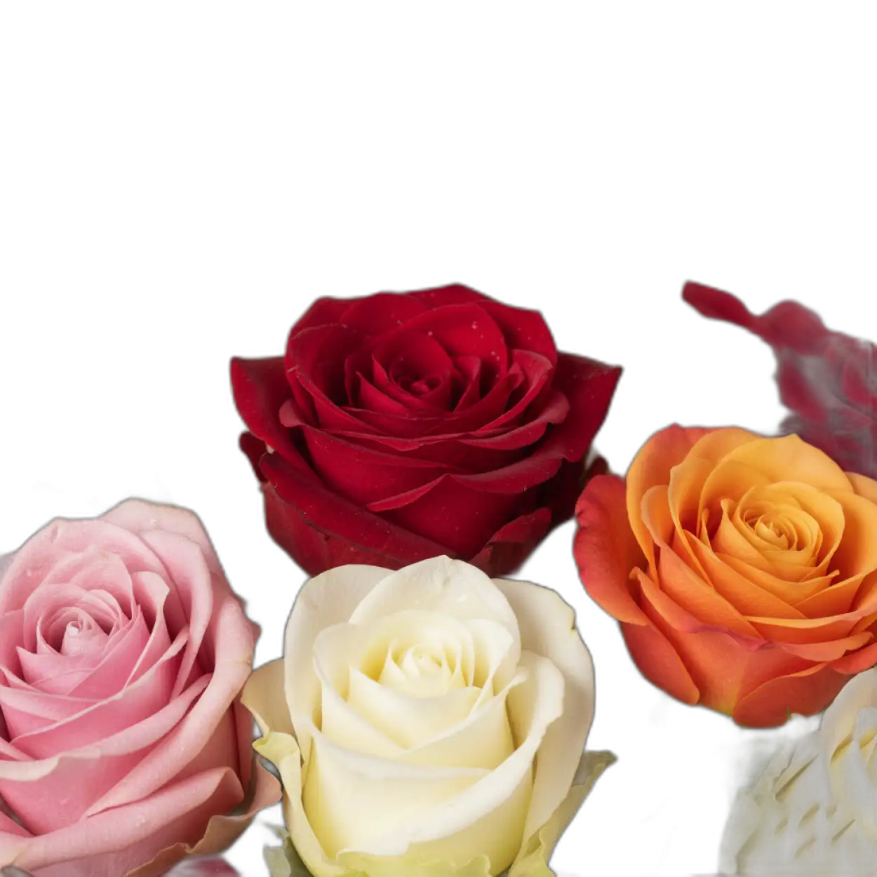 Free Download Rose Bouquet Png Love Background - High Quality Rose Bouquet Png PNG Image