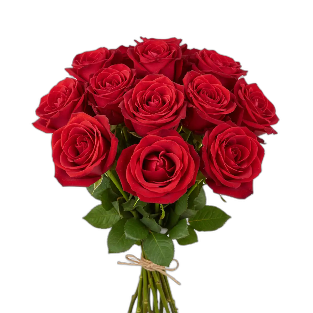 Free Download Rose Bouquet Png Realistic Hd - High Quality Rose Bouquet Png PNG Image