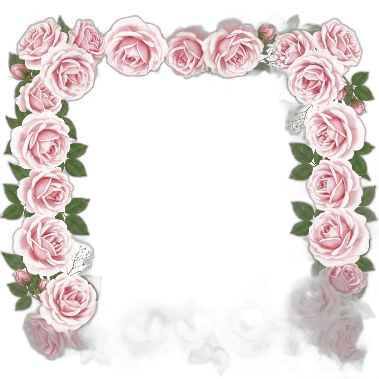 Free Download Rose Floral Frame Png Hd Quality - High Quality Frame Png PNG Image