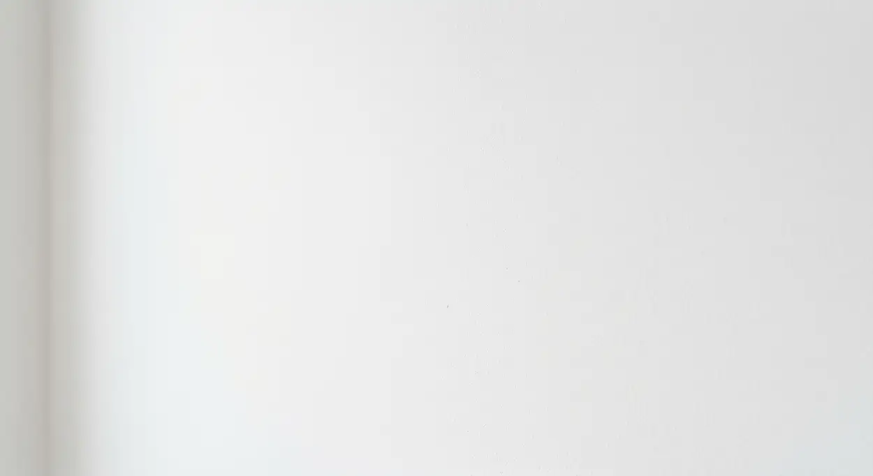 Free Download Simple Plain White Background Hd For Professional Portfolio - High Quality Plain White Background Hd Background Image