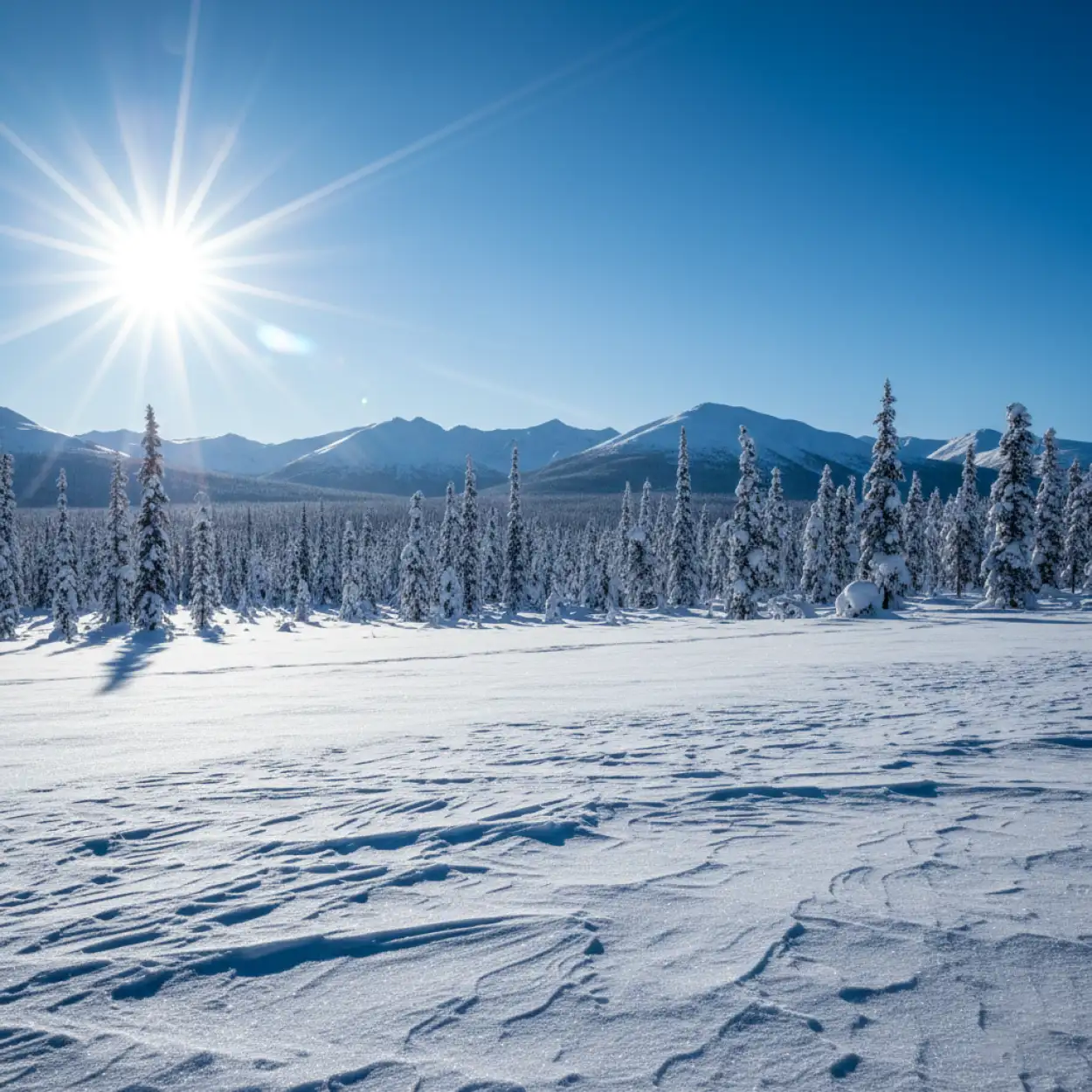 Free Download Snow Background Images For Mobile Wallpaper - High Quality Snow Background Images Hd Background Image