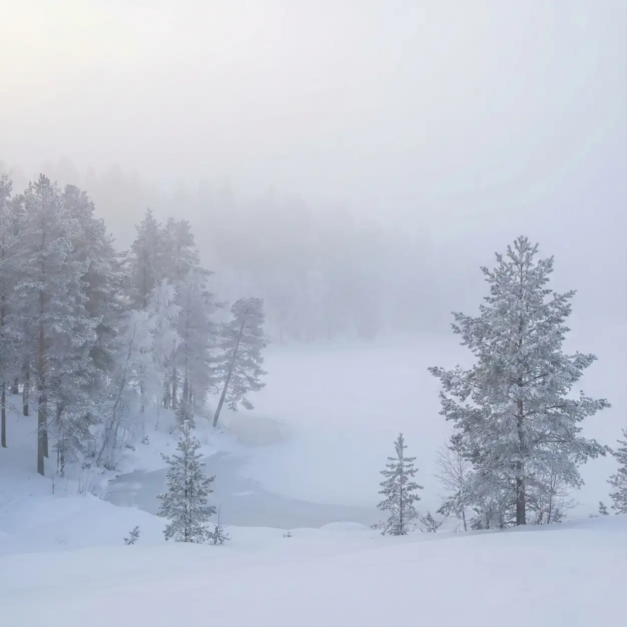 Free Download Snow Background Minimal - High Quality Snow Background Background