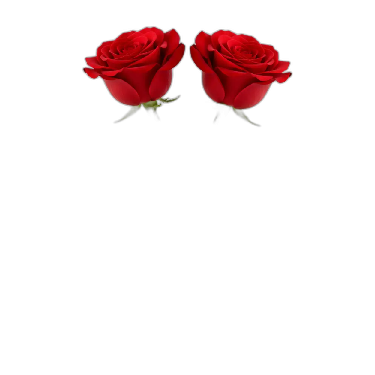 Free Download Stylish Rose Png Transparent Background For Valentine Gift - High Quality Rose Png PNG Image