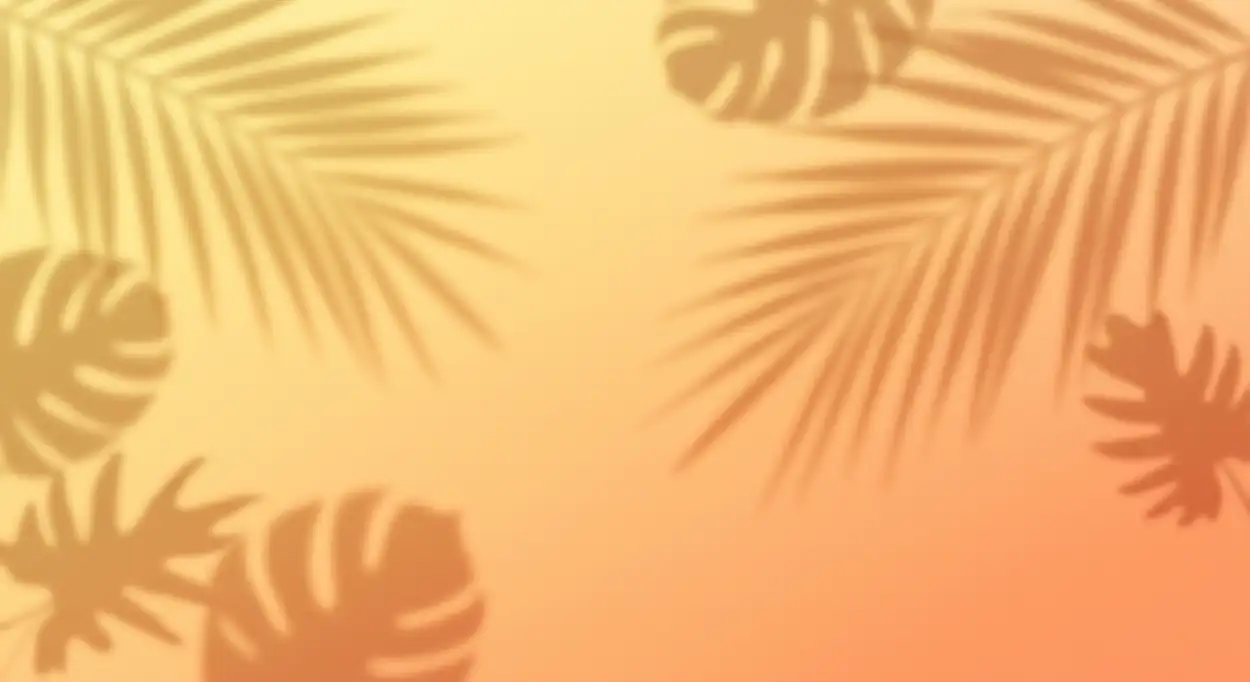 Free Download Summer Tropical Background With Realistic Palm Shadows - High Quality Summer Background Background Image
