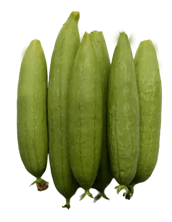 Sweet Gourd Vegetable Png Picture - Royalty Free Sweet Gourd Vegetable Image | Pngmagic Free Download Sweet Gourd Vegetable Png Picture - High Quality Sweet Gourd Vegetable PNG Image