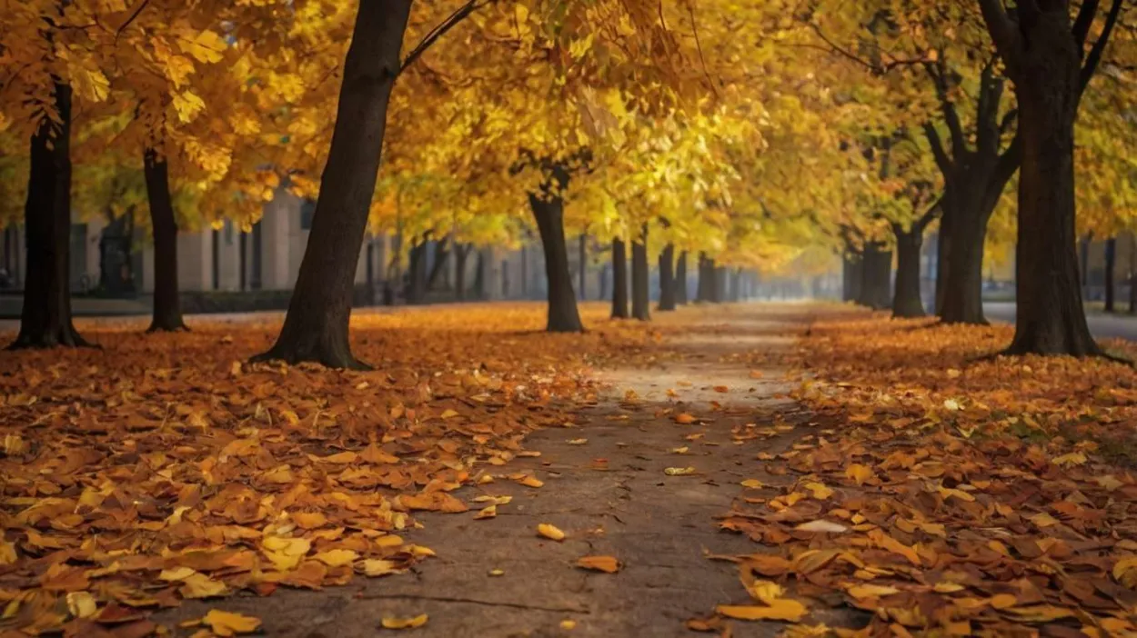Free Download Textured Autumn Backgrounds For Digital Scrapbooking - High Quality Autumn Background Background