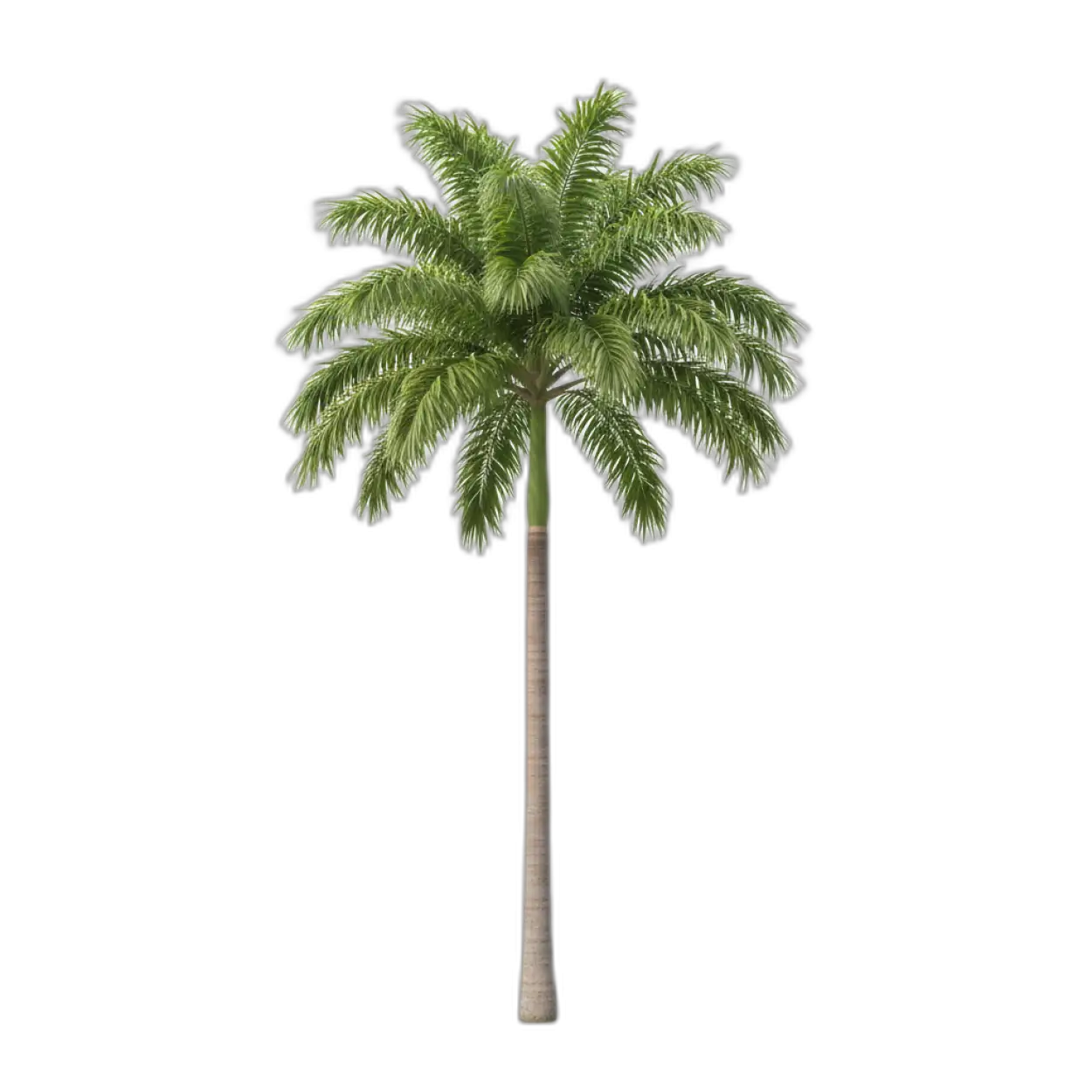 Free Download Tree Png For Environmental Awareness - High Quality Tree Png Transparent PNG