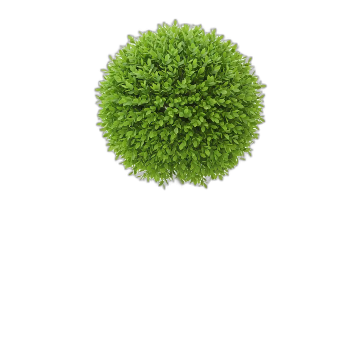 Free Download Tree Png Outdoor Design - High Quality Tree Png Transparent PNG