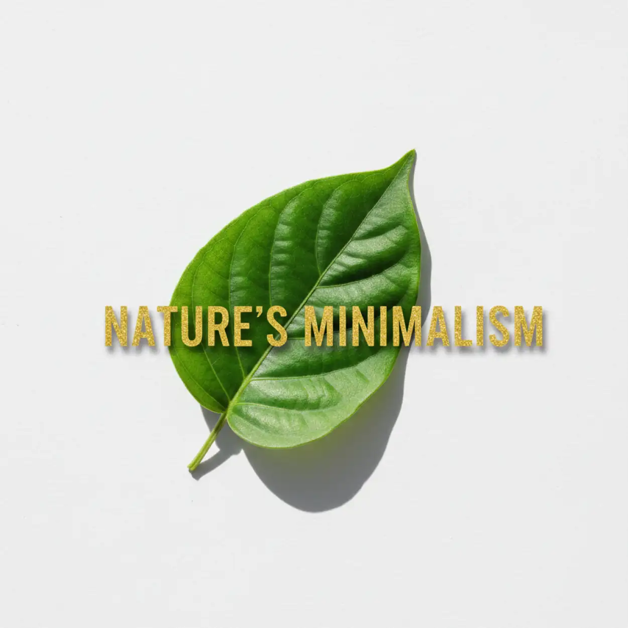 Tu Bishvat Environmental Quotes - Royalty Free Happy Tu Bishvat Image | Pngmagic Free Download Tu Bishvat Environmental Quotes - High Quality Happy Tu Bishvat Background