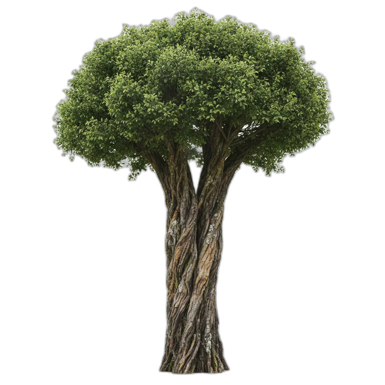 Free Download Ultra Hd Tree Png - High Quality Tree Png Transparent PNG