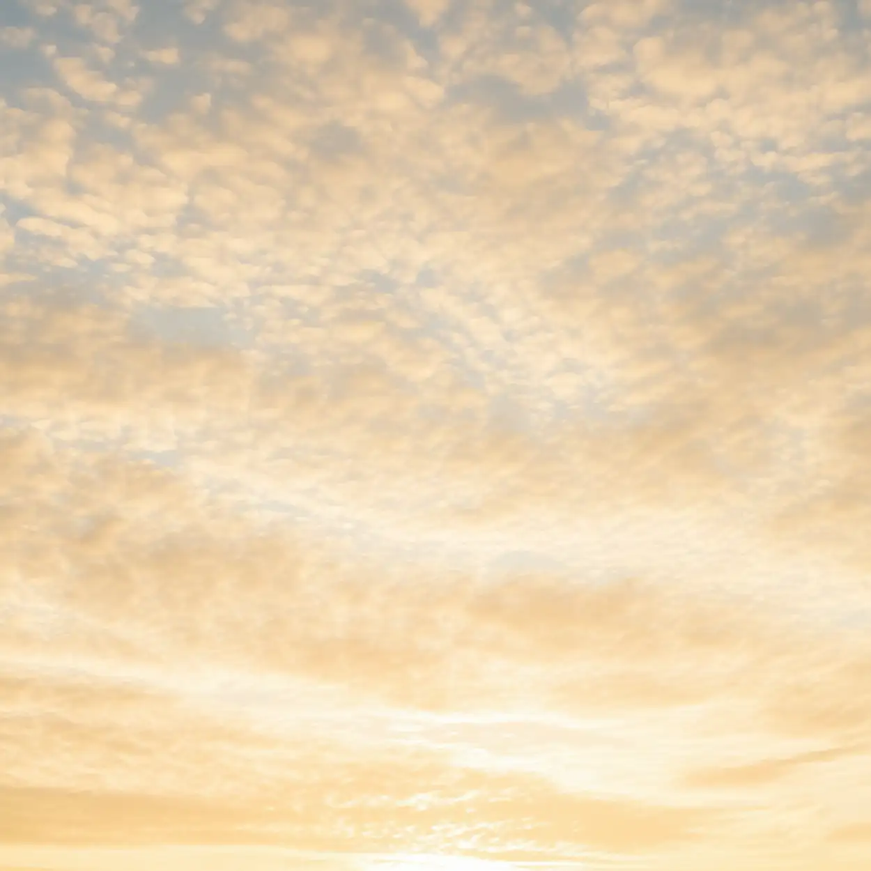 Free Download Vasant Panchami Background Plain - High Quality Vasant Panchami Background Background