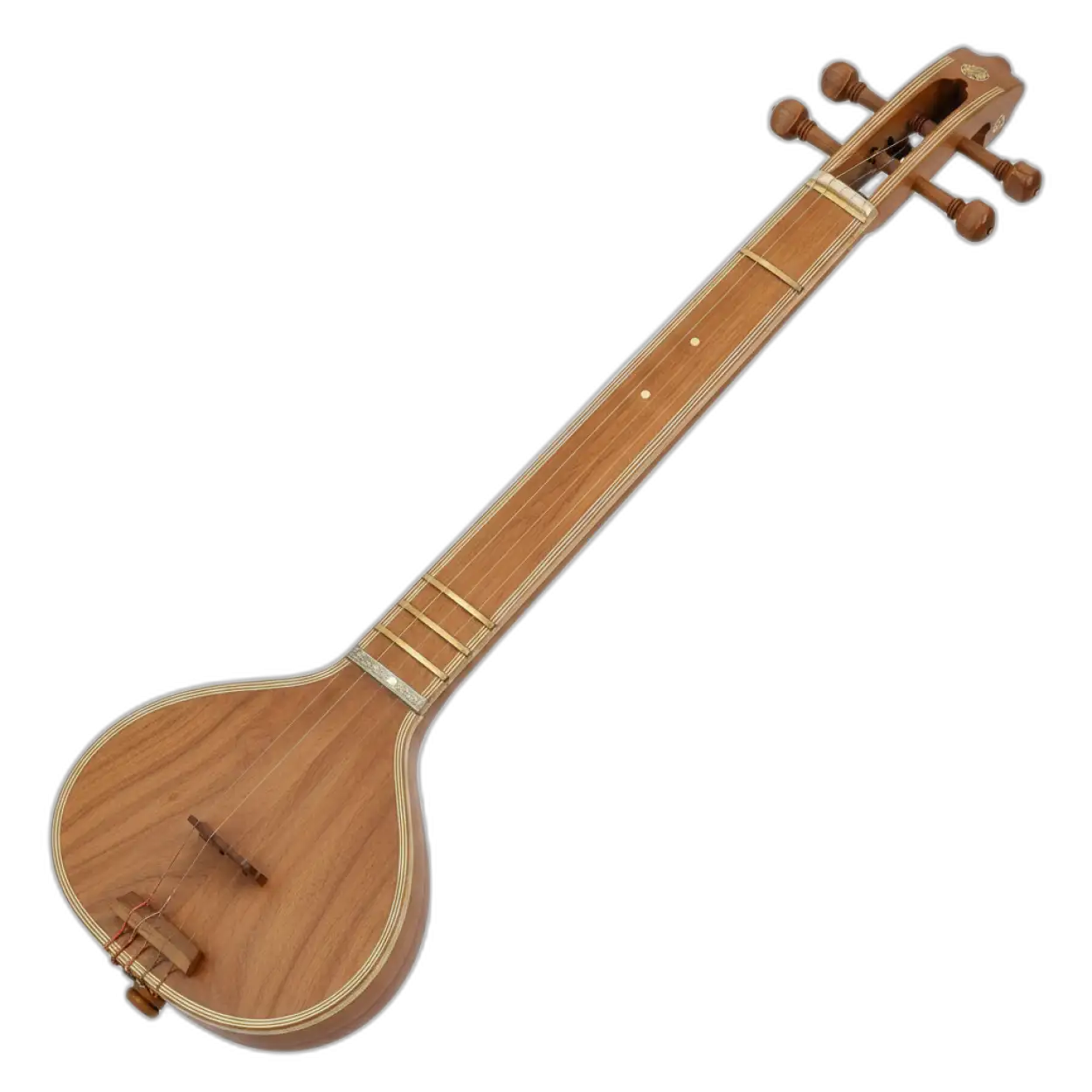 Free Download Veena Png For Education Presentation - High Quality Veena Png PNG Image