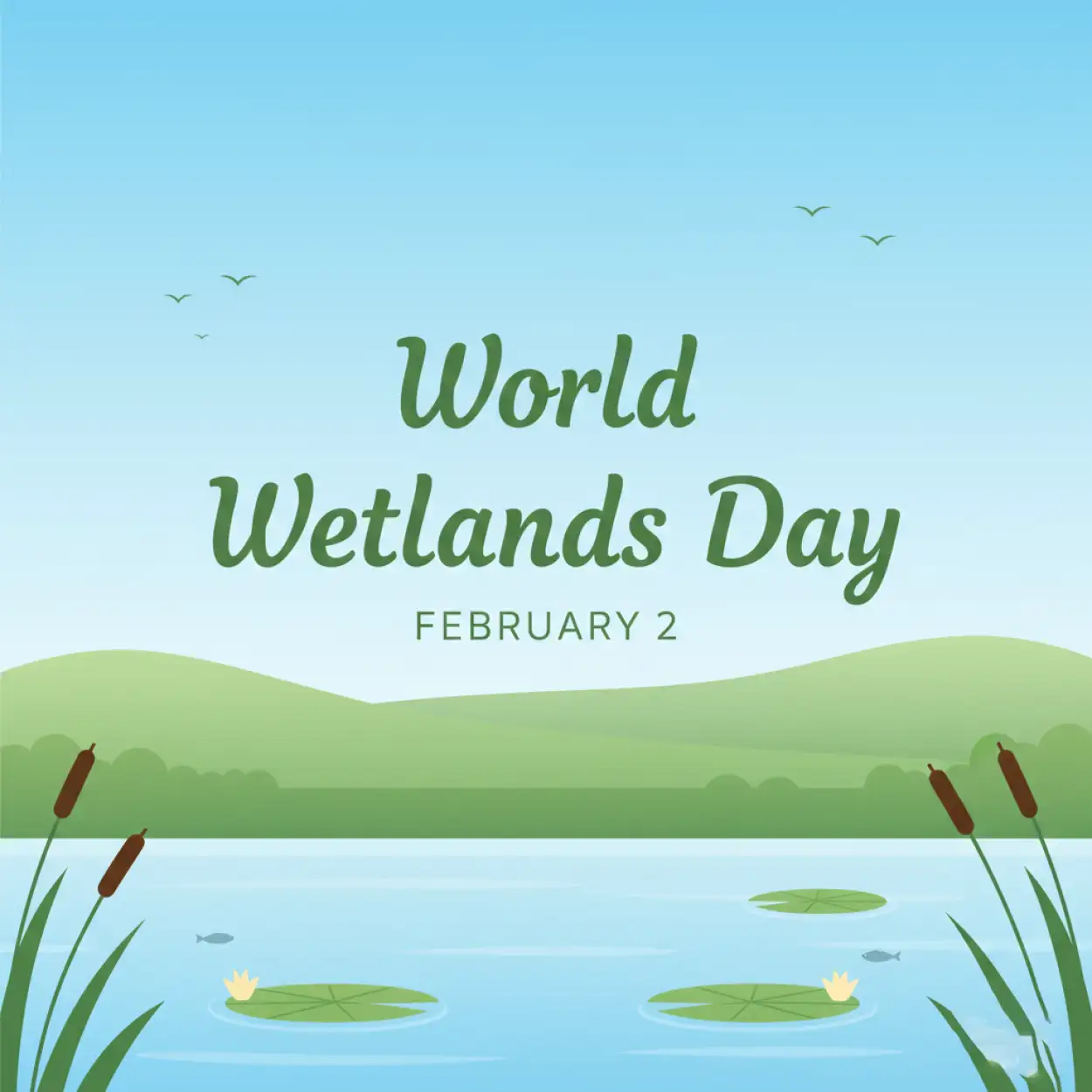 Free Download Wetlands Biodiversity Protection - High Quality World Wetlands Day Background