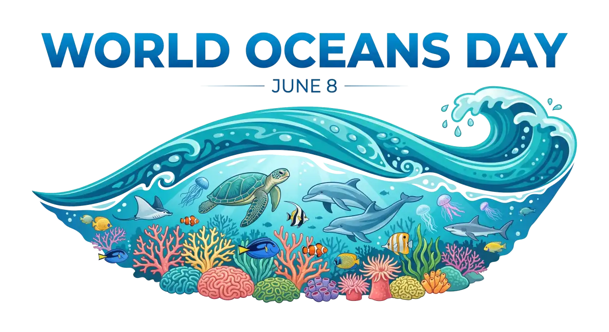 Free Download World Oceans Day Png For Educational Poster - High Quality World Oceans Day Png Transparent PNG