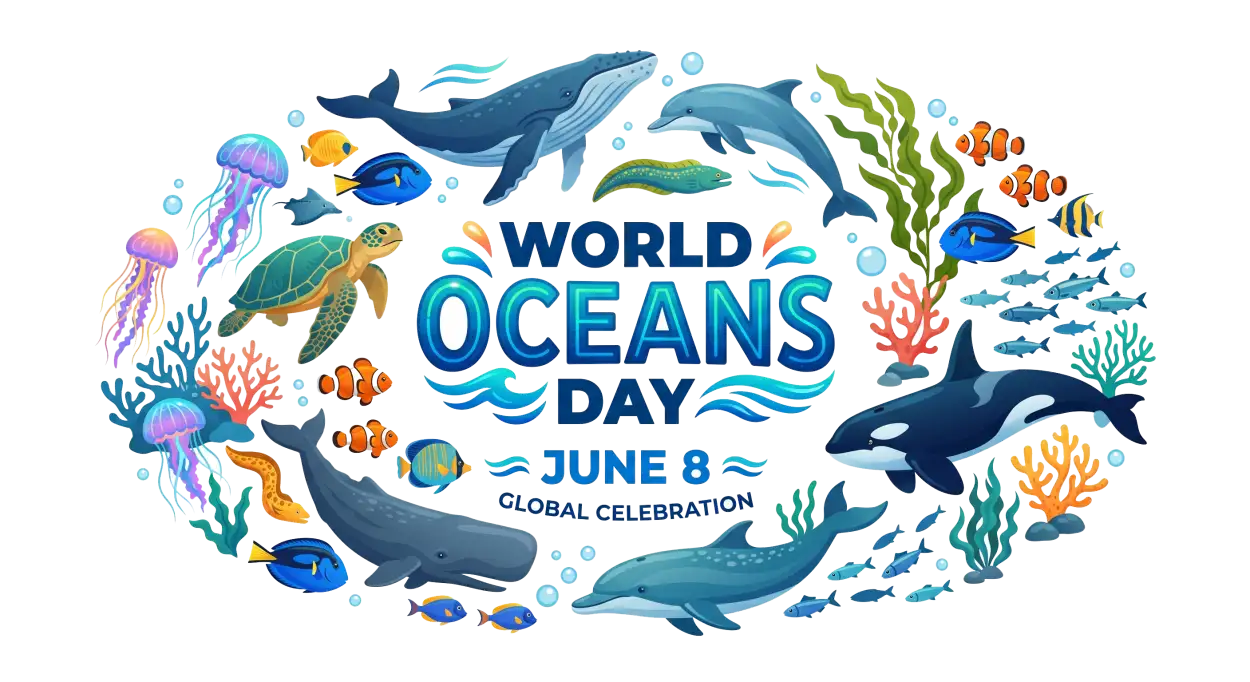 Free Download World Oceans Day Png For Teachers And Students - High Quality World Oceans Day Png Transparent PNG