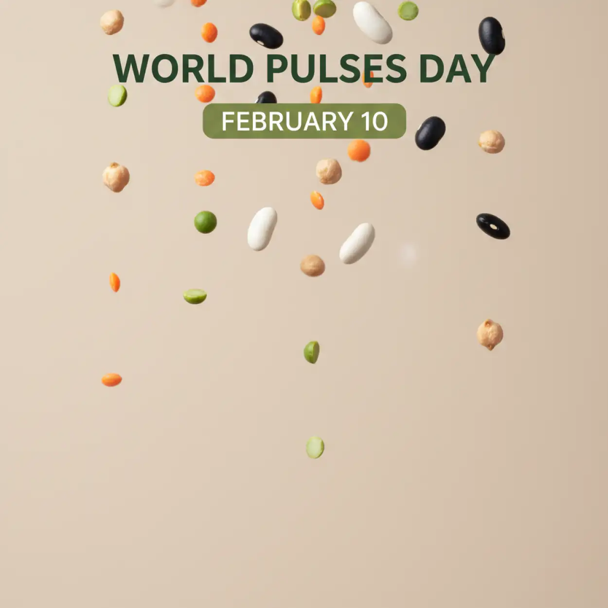 Free Download World Pulses Day Legumes Poster - High Quality World Pulses Day Background