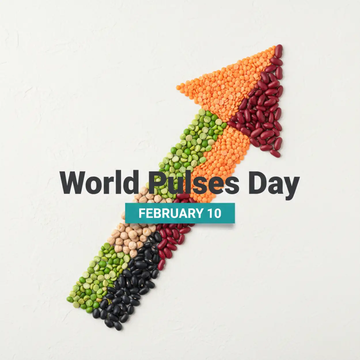 Free Download World Pulses Day Nutrition Education - High Quality World Pulses Day Background