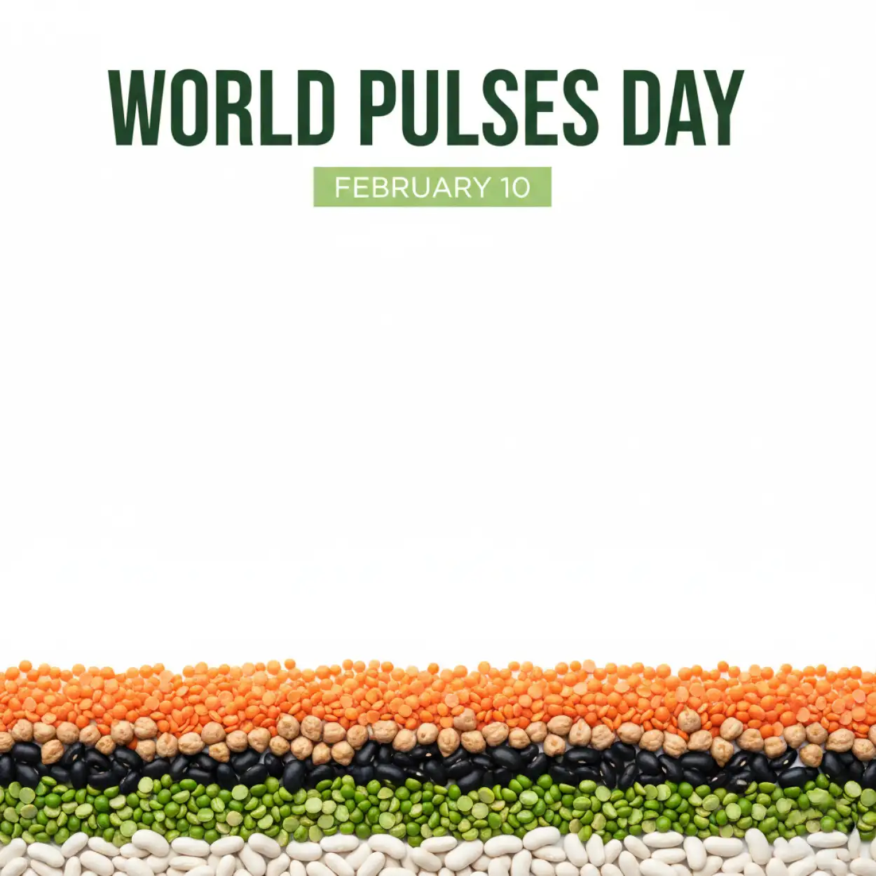 Free Download World Pulses Day Slogans In English - High Quality World Pulses Day Background
