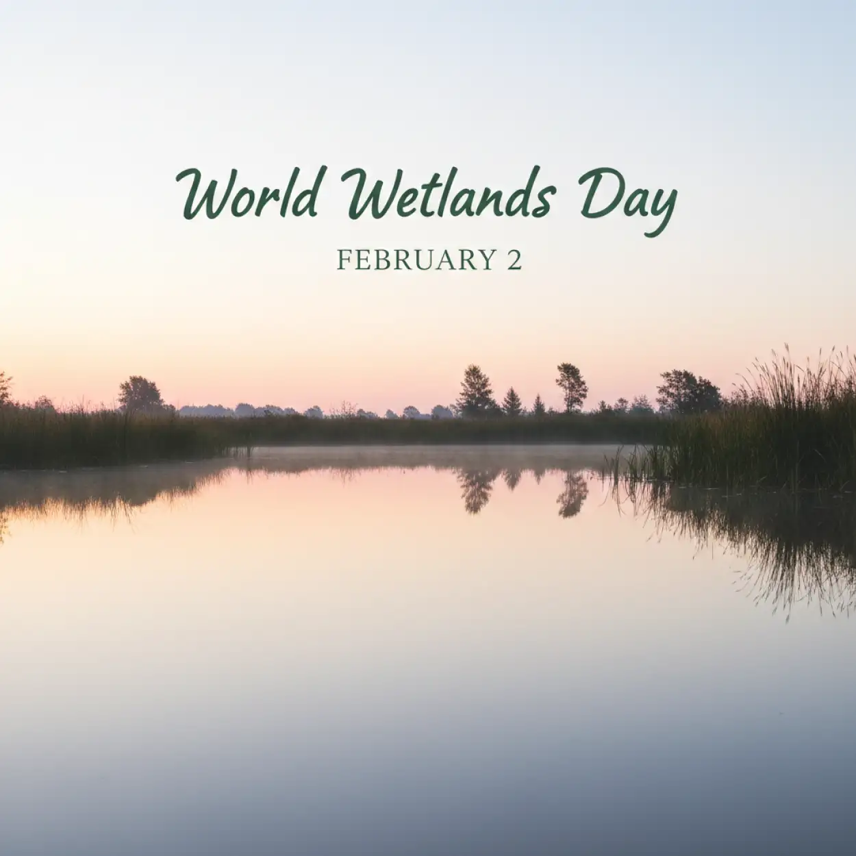 Free Download World Wetlands Day Article - High Quality World Wetlands Day Background