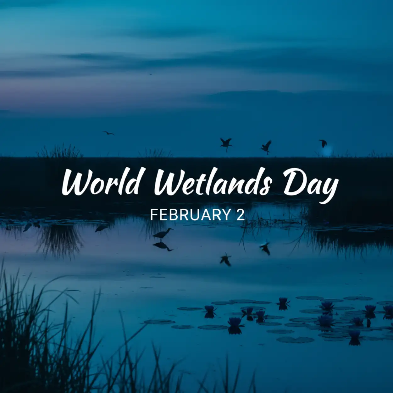 World Wetlands Day Blue Theme - Royalty Free World Wetlands Day Image | Pngmagic Free Download World Wetlands Day Blue Theme - High Quality World Wetlands Day Background